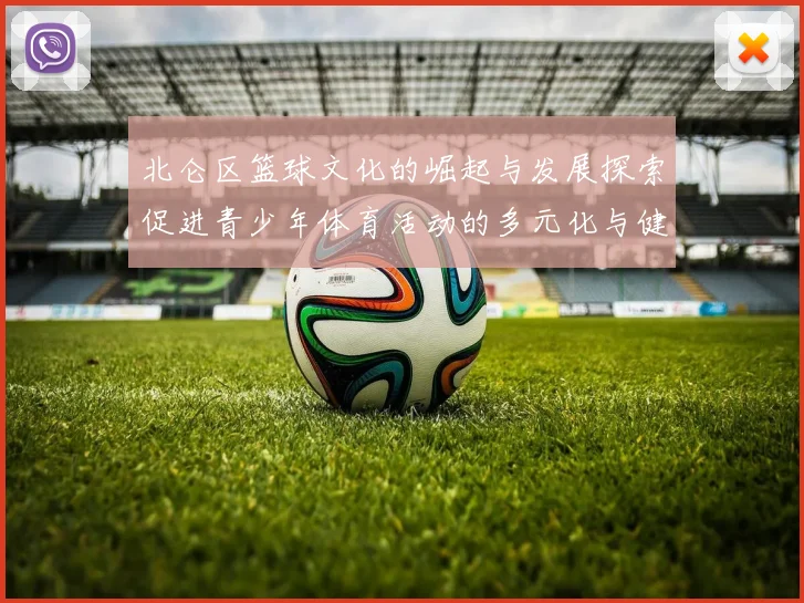北仑区篮球文化的崛起与发展探索促进青少年体育活动的多元化与健康成长
