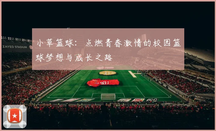 小草篮球：点燃青春激情的校园篮球梦想与成长之路