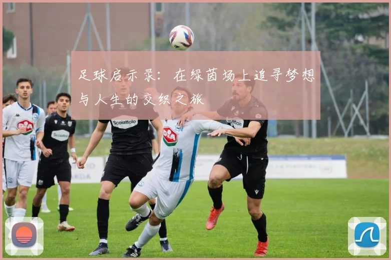 足球启示录：在绿茵场上追寻梦想与人生的交织之旅