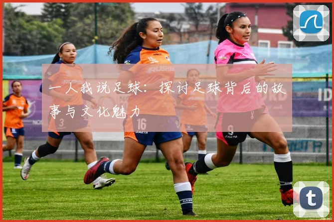 一人我说足球：探讨足球背后的故事与文化魅力