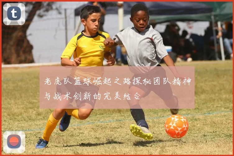 老虎队篮球崛起之路探秘团队精神与战术创新的完美结合